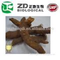 high quality resveratrol extract Polygonum cuspidatum p.e.